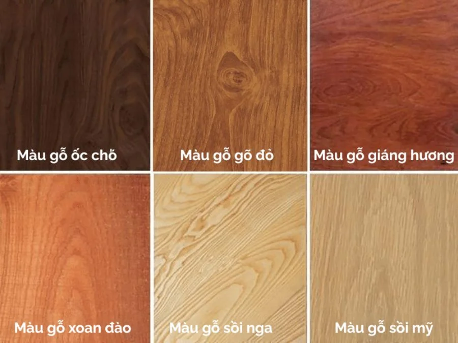 Các loại gỗ tự nhiên 