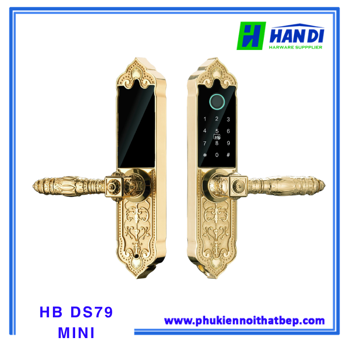  HB DS79 Mini
