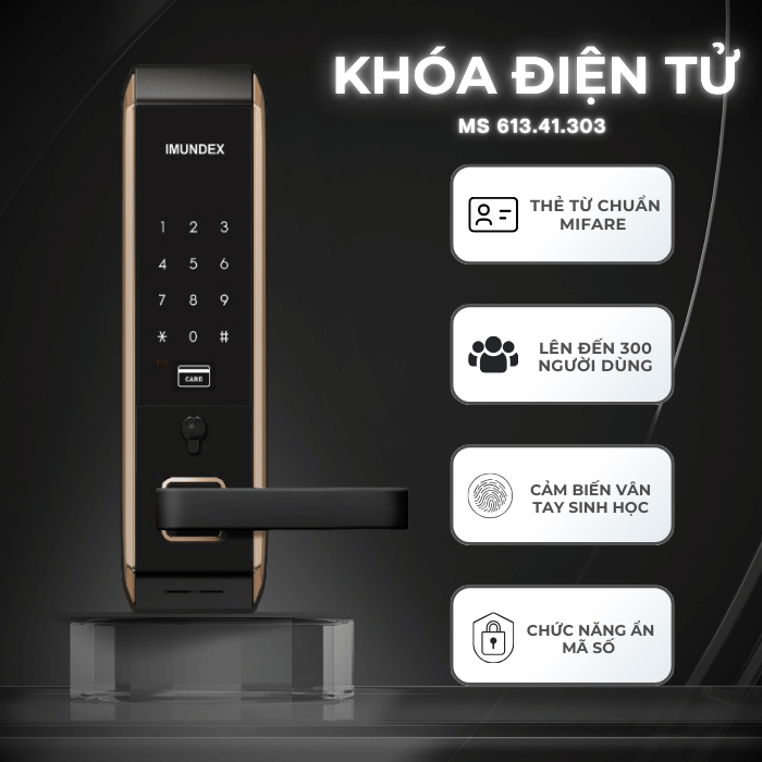 Khóa Điện Tử IMUNDEX 613.41.203