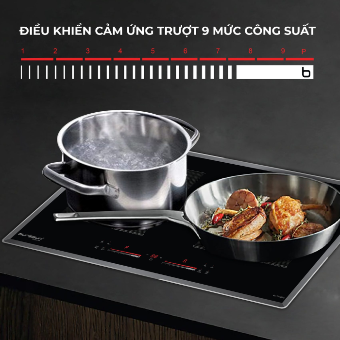 Bếp từ 2 vùng nấu EUROSUN EU-T99XPro