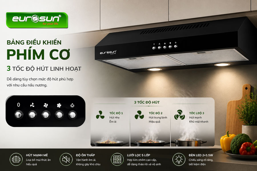 Máy hút mùi cổ điển Eurosun EH-60CF19B/EH-60CF19EB
