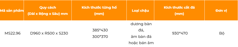 Chậu rửa có máy rửa cốc chén GARIS MS22.96