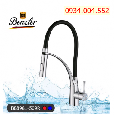 Vòi rửa Benzler B88981-509R