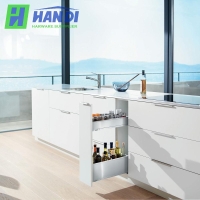 Giá chai lọ Blum SPACE TWIN LEGRABOX inox