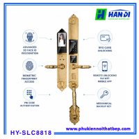 Khóa cửa vân tay tân cổ điển HYUNDAI HY-SLC8818