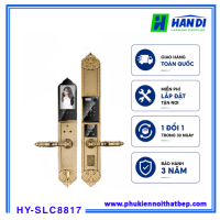 Khóa cửa vân tay tân cổ Hyundai HY-SLC8817