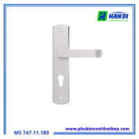 Tay nắm gạt IMUNDEX-717.19.171 INOX 304 tiêu chuẩn