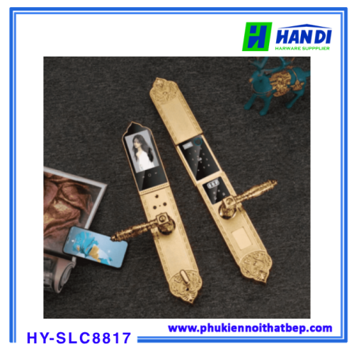 Khóa cửa vân tay tân cổ Hyundai HY-SLC8817