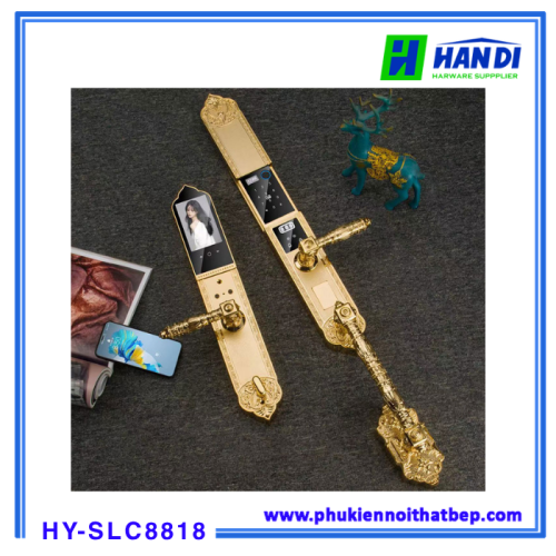 Khóa cửa vân tay tân cổ điển HYUNDAI HY-SLC8818