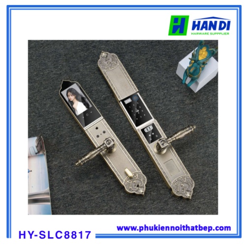 Khóa cửa vân tay tân cổ Hyundai HY-SLC8817